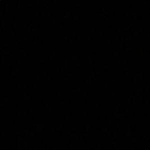 Meet your Posher, Zana